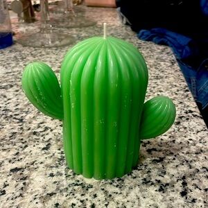 Green and Cactus Shaped Candle Winner’s Choice